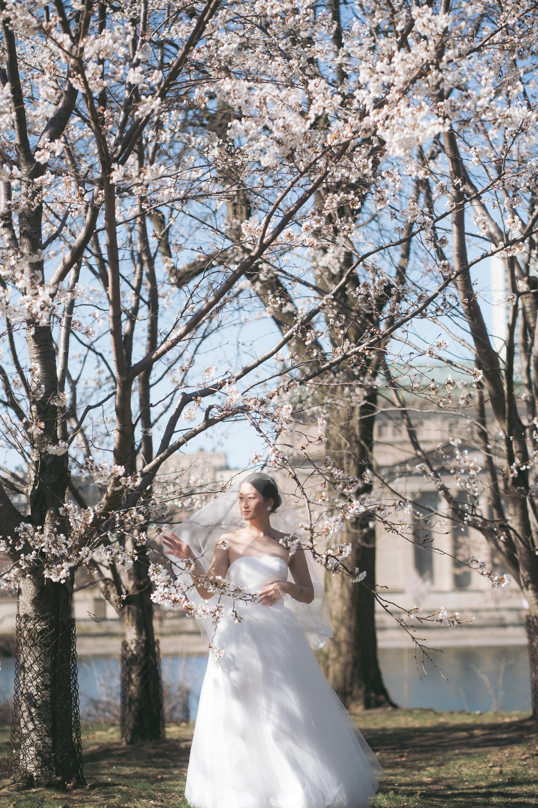 Airline Attendant Bridal Model